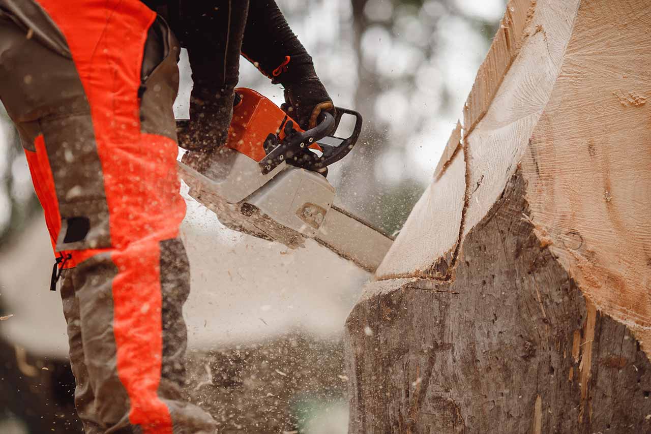 Emergency First Aid at Work + Forestry