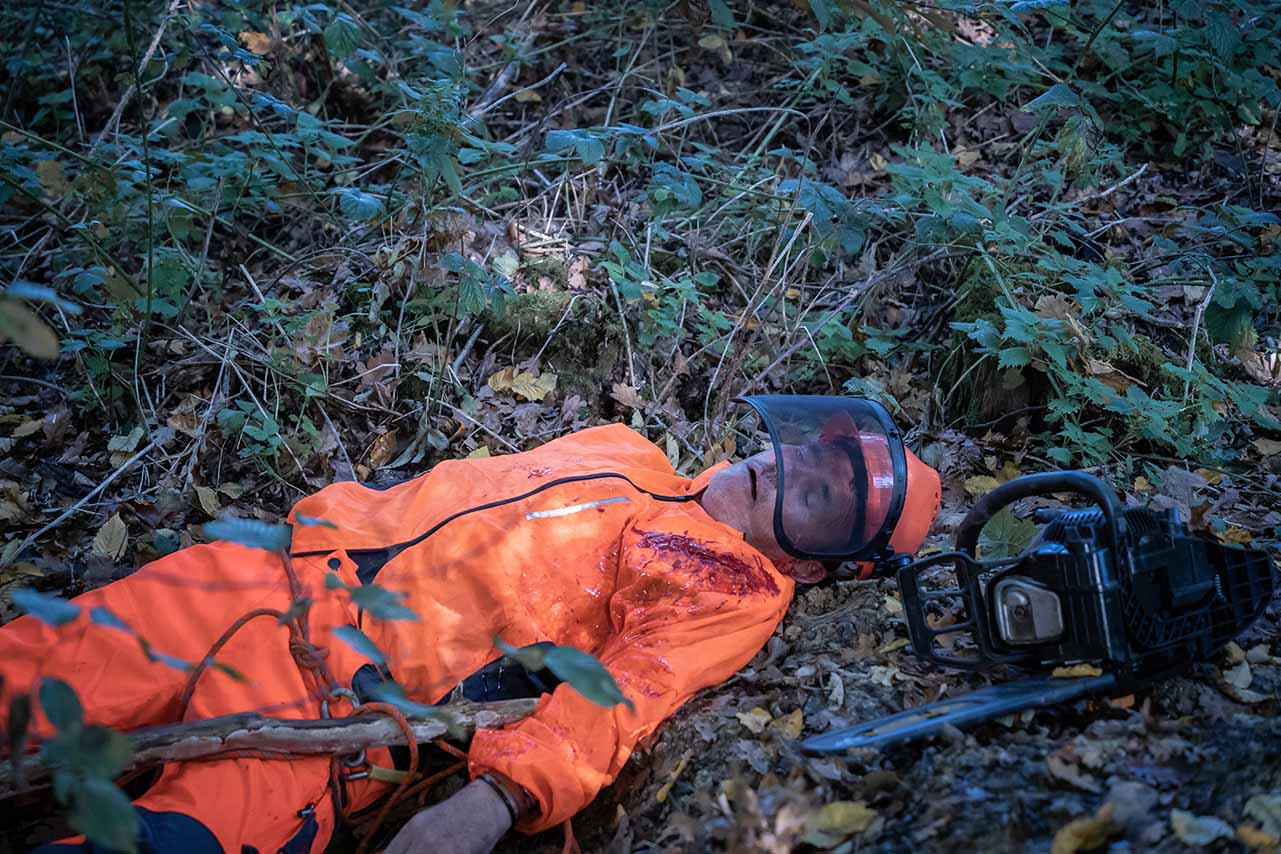 Forestry First Aid Sussex