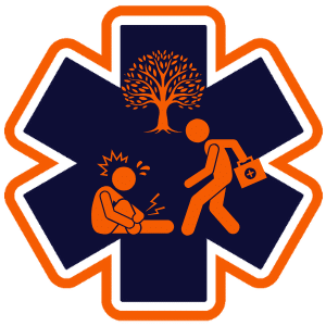 CPR Adult BLS Instructor Course