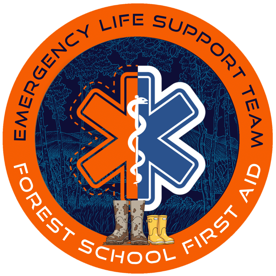 Forest School First Aid Course London